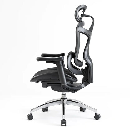 Sihoo DORO-C100 Ergonomic Office Chair