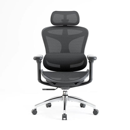 Sihoo DORO-C100 Ergonomic Office Chair
