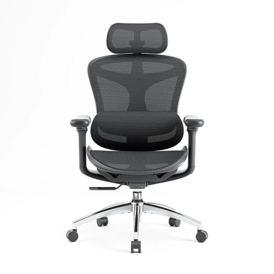 Sihoo DORO-C100 Ergonomic Office Chair