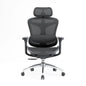 Sihoo DORO-C100 Ergonomic Office Chair