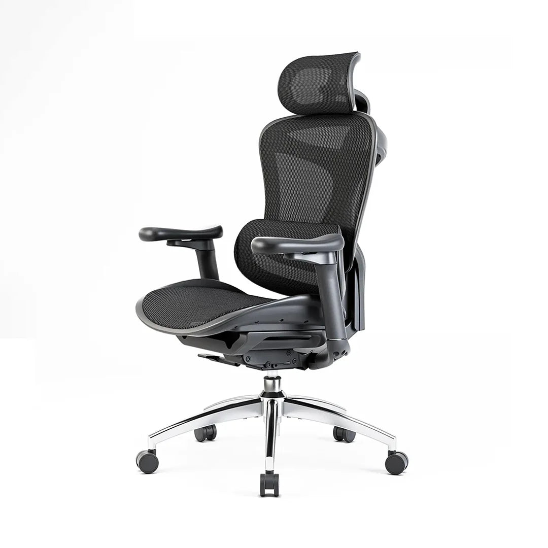 Sihoo DORO-C100 Ergonomic Office Chair