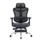 Sihoo DORO-C100 Ergonomic Office Chair